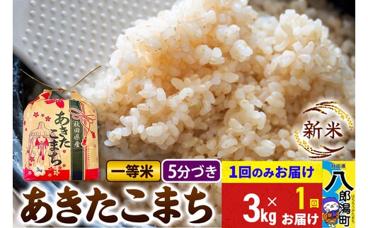 《新米》あきたこまち 一等米 3kg×1袋【5分づき】 令和8年産 秋田県産 こまちライン [新米 こまちライン あきたこまち ブランド米 お米 白米 精米 無洗米 米どころ 秋田 秋田県産]