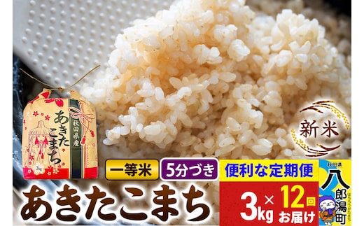 《新米》《定期便12ヶ月》あきたこまち 一等米 3kg×1袋【5分づき】 令和8年産 秋田県産 こまちライン [新米 こまちライン あきたこまち ブランド米 お米 白米 精米 無洗米 米どころ 秋田 秋田県産]