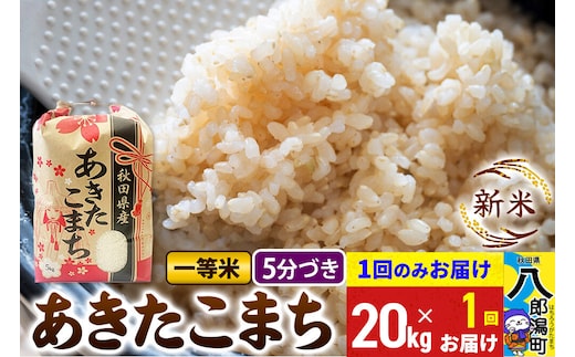 《新米》あきたこまち 一等米 5分搗き 20kg 秋田県産 こまちライン [新米 こまちライン あきたこまち ブランド米 お米 白米 精米 無洗米 米どころ 秋田 秋田県産]