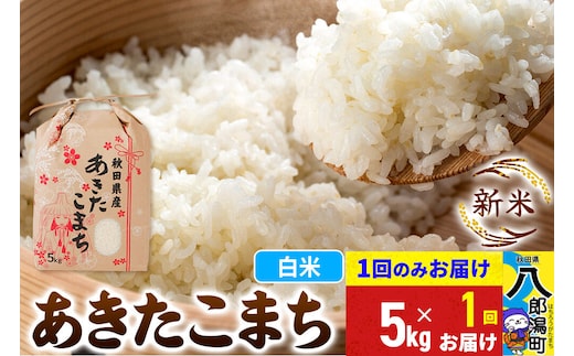 《新米》あきたこまち 5kg 秋田県産 こまちライン [新米 こまちライン あきたこまち ブランド米 お米 白米 精米 無洗米 米どころ 秋田 秋田県産]