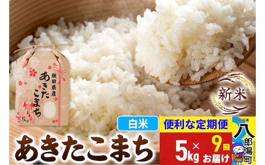 《新米》《定期便9ヶ月》あきたこまち 5kg【白米】 令和8年産 秋田県産 こまちライン [新米 こまちライン あきたこまち ブランド米 お米 白米 精米 無洗米 米どころ 秋田 秋田県産]