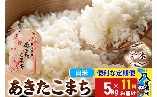 《新米》《定期便11ヶ月》あきたこまち 5kg【白米】 令和8年産 秋田県産 こまちライン [新米 こまちライン あきたこまち ブランド米 お米 白米 精米 無洗米 米どころ 秋田 秋田県産]