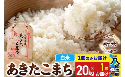 《新米》あきたこまち 20kg 秋田県産 こまちライン [新米 こまちライン あきたこまち ブランド米 お米 白米 精米 無洗米 米どころ 秋田 秋田県産]