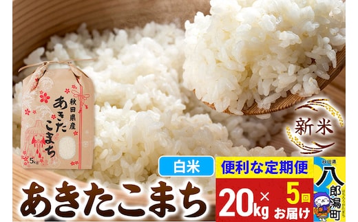 《新米》《定期便5ヶ月》あきたこまち 20kg【白米】 令和8年産 秋田県産 こまちライン [新米 こまちライン あきたこまち ブランド米 お米 白米 精米 無洗米 米どころ 秋田 秋田県産]