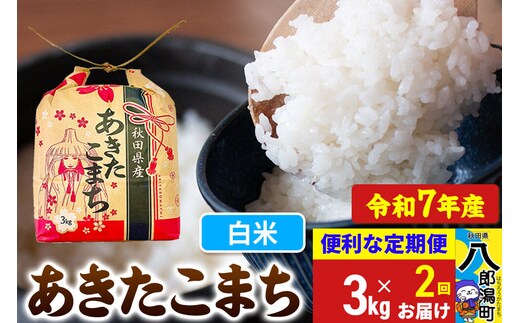 《定期便2ヶ月》 あきたこまち 3kg×1袋【白米】令和7年産 秋田県産 こまちライン [こまちライン あきたこまち ブランド米 お米 白米 精米 米どころ 秋田 秋田県産]