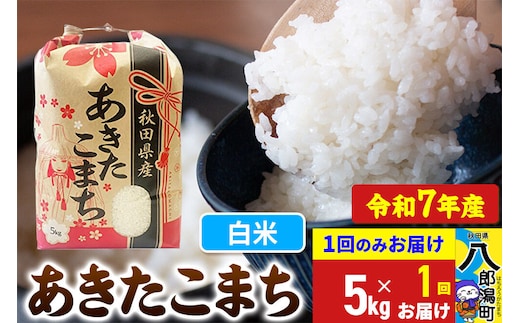 あきたこまち 5kg【白米】令和7年産 秋田県産 こまちライン [こまちライン あきたこまち ブランド米 お米 白米 精米 米どころ 秋田 秋田県産]