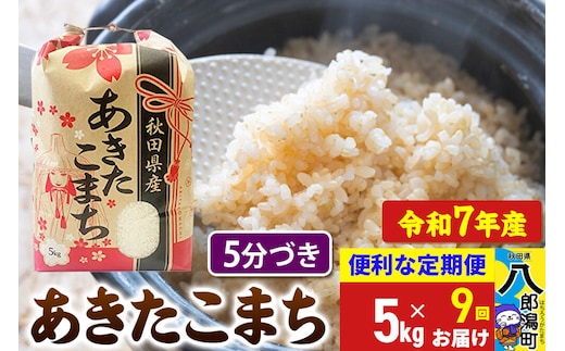 《定期便9ヶ月》 あきたこまち 5kg【5分づき】令和7年産 秋田県産 こまちライン [こまちライン あきたこまち ブランド米 お米 5分搗き 5分づき 米どころ 秋田 秋田県産]