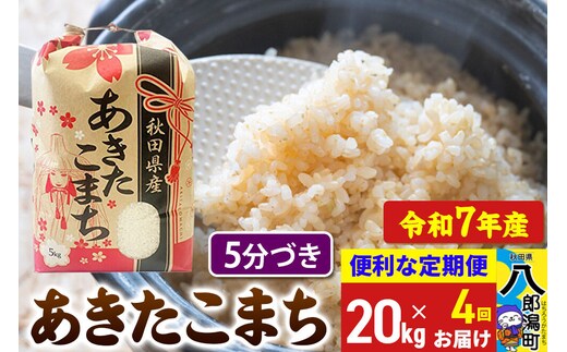 《定期便4ヶ月》 あきたこまち 20kg【5分づき】令和7年産 秋田県産 こまちライン [こまちライン あきたこまち ブランド米 お米 5分搗き 5分づき 米どころ 秋田 秋田県産]