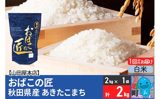 令和7年産 おばこの匠 秋田県産あきたこまち 2kg（白米）2kg袋 秋田こまち お米