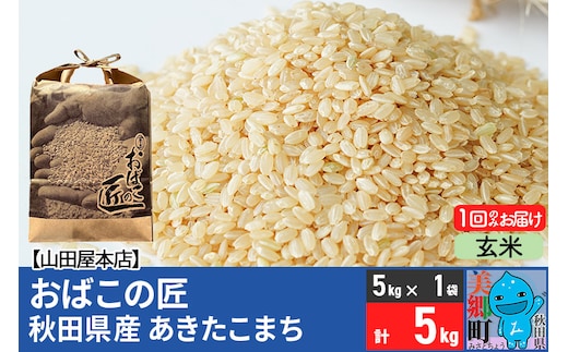 令和7年産 おばこの匠 秋田県産あきたこまち 5kg（玄米）5kg袋 秋田こまち お米