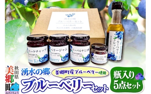 湧水の郷ブルーベリーセット 5点 （バルサミコ酢、ドレッシング、ジャム、ケチャップ、ブルーベリー塩） [秋田 美郷町 バルサミコ ビネガー ギフト ドレッシング 調味料 ジャム フルーツ 果実 果物]