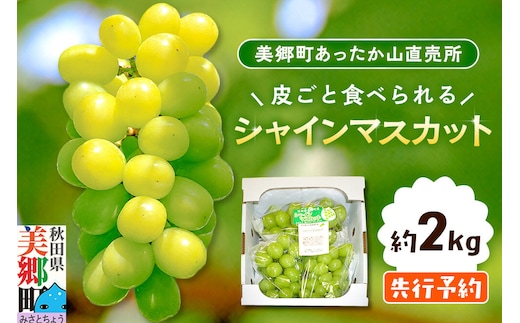 【先行受付】シャインマスカット 約2kg [ぶどう 葡萄 ブドウ シャインマスカットの返礼品]