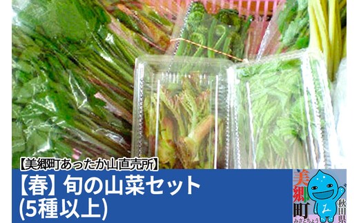 ＜先行受付＞【春】旬の山菜セット（5種類以上）美郷町あったか山直売所／ワラビ・タラの芽・タケノコ・山ウド・アイコ・シドケなど中身おまかせ [山菜 詰め合わせ]