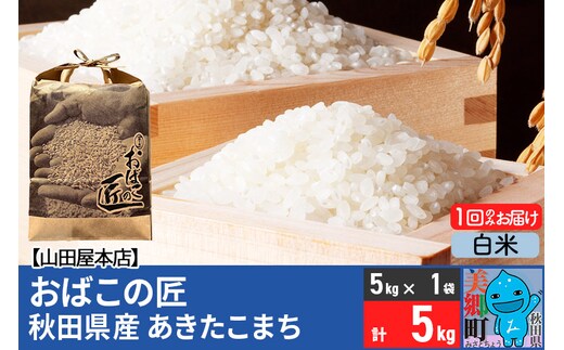 令和7年産 おばこの匠 秋田県産あきたこまち 5kg（白米）5kg袋 秋田こまち お米