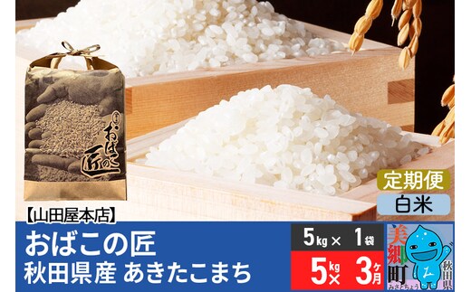 《定期便3ヶ月》令和7年産 おばこの匠 秋田県産あきたこまち 5kg×3回 計15kg（白米）5kg袋 秋田こまち お米