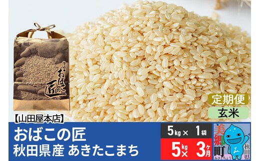 《定期便3ヶ月》令和7年産 おばこの匠 秋田県産あきたこまち 5kg×3回 計15kg（玄米）5kg袋 秋田こまち お米