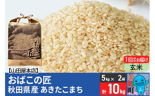 令和7年産 おばこの匠 秋田県産あきたこまち 10kg（玄米）5kg袋 秋田こまち お米