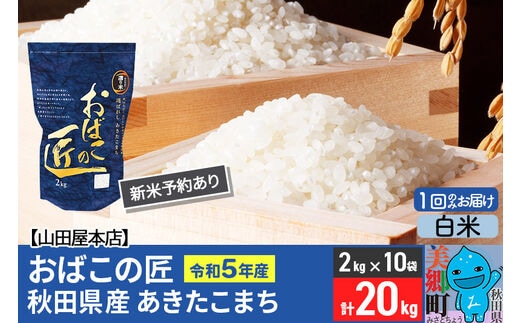 白米】令和5年産 新米予約 おばこの匠 20kg（2kg×10袋）秋田県産