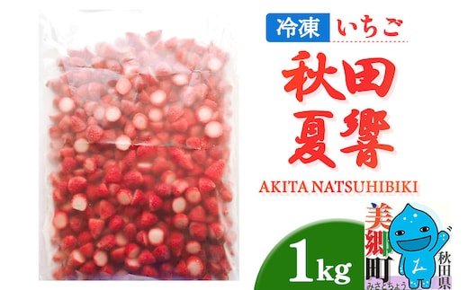 秋田夏響 冷凍 1kg 夏イチゴ いちご 苺 なつひびき