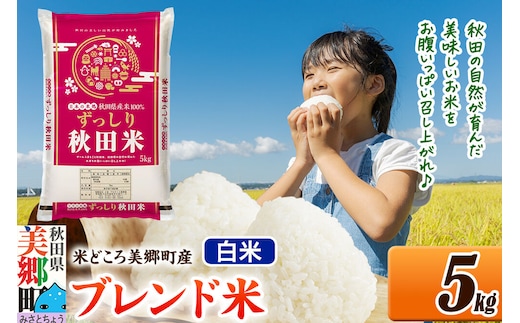 米 ブレンド米【白米】精米 5kg（5kg×1袋）秋田県美郷町産 [5kg袋 お米 こめ ご飯 ごはん 米どころ 秋田県産 美郷町]
