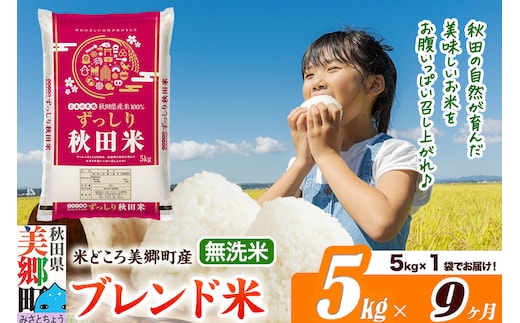 米《定期便9ヶ月》ブレンド米【無洗米】精米 5kg（5kg×1袋）秋田県美郷町産 [5kg袋 お米 こめ ご飯 ごはん 米どころ 秋田県産 美郷町]