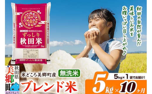 米《定期便10ヶ月》ブレンド米【無洗米】精米 5kg（5kg×1袋）秋田県美郷町産 [5kg袋 お米 こめ ご飯 ごはん 米どころ 秋田県産 美郷町]