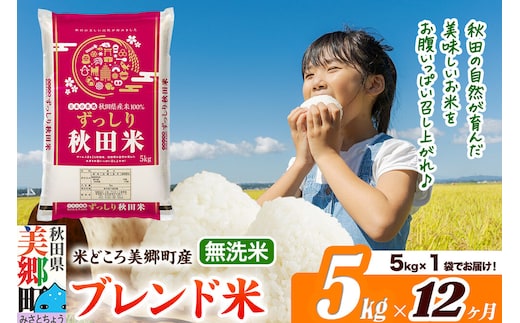 米《定期便12ヶ月》ブレンド米【無洗米】精米 5kg（5kg×1袋）秋田県美郷町産 [5kg袋 お米 こめ ご飯 ごはん 米どころ 秋田県産 美郷町]