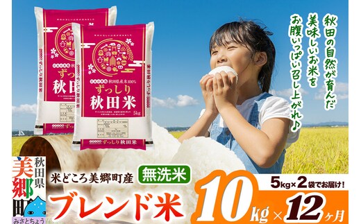 米《定期便12ヶ月》ブレンド米【無洗米】精米 10kg（5kg×2袋）秋田県美郷町産 [5kg袋 お米 こめ ご飯 ごはん 米どころ 秋田県産 美郷町]