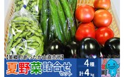 朝採り！夏野菜詰め合わせセット 4kg (トマト きゅうり なす 枝豆)