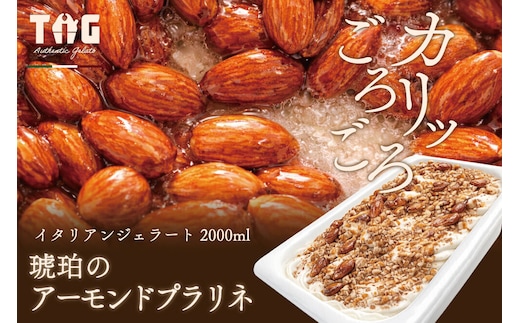 ジェラート ジェラテリア TiG（ティグ）イタリアンジェラート 琥珀のアーモンドプラリネ 2000ml (2L) 大容量 無着色 無香料 秋田 美郷町 [無着色 無香料 国産 秋田県産 アーモンド 本格ジェラート]