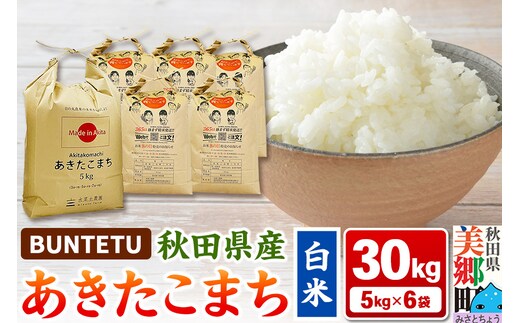 【令和7年産・白米】あきたこまち 30kg（5kg×6袋）秋田県美郷町産