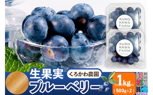 くろかわ農園 ブルーベリー 1kg（500g×2パック）摘みたて 秋田県美郷町 [摘みたて ブルーベリー 新鮮 その他のフルーツの返礼品]