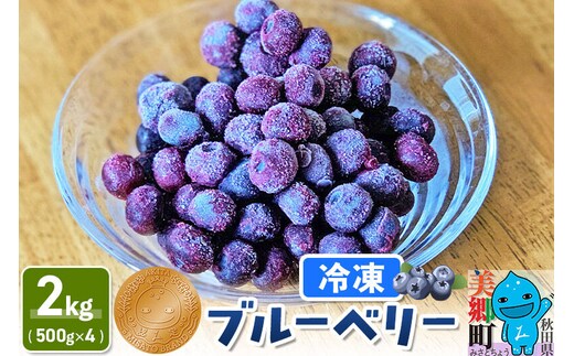 くろかわ農園 冷凍ブルーベリー 2kg（500g×4パック） 秋田県美郷町 [摘みたて ブルーベリー 新鮮 その他のフルーツの返礼品]