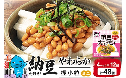 ヤマダフーズ 納豆大好きやわらか 極小粒 ミニ 4パック×12個（計48個）