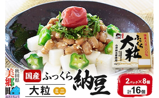 ヤマダフーズ 国産 ふっくら大粒 ミニ 2パック×8個（計16個）