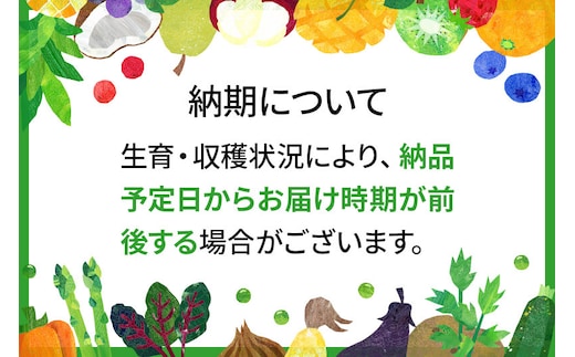 令和5年産 あきたこまち特別栽培米6kg（2kg×3袋）【白米】秋田県産
