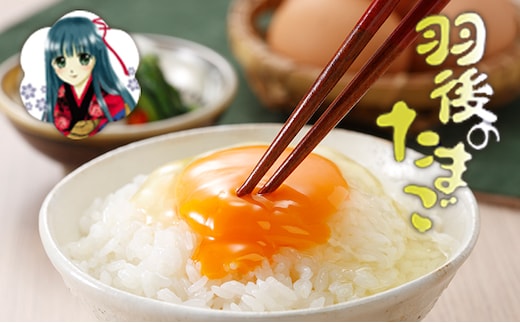 羽後のたまご 30個（27個+割れ補償3個） 生卵 活性酸素 抑制 抗酸化力 アスタキサンチン DHA 美味しい 健康維持 