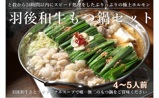 羽後和牛もつ鍋セット4～5人前 しょうゆ味 鍋物 グルメ 新鮮ホルモン 夕飯 集まり イベント 女子会 忘年会 新年会 鍋料理 