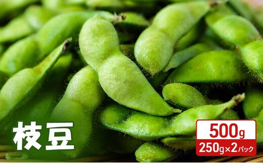 先行予約 秋田県 羽後町産 枝豆 500g （250g×2） [えだまめ 簡単調理レンジ 国産 国産野菜 おつまみ] 