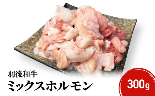 秋田県 羽後町産 羽後和牛 ミックスホルモン 300g 【 焼肉 ホルモン BBQ バーベキュー キャンプ 】