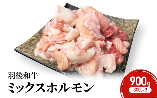 秋田県 羽後町産 羽後和牛 ミックスホルモン 900g （300g×3）【 焼肉 ホルモン BBQ バーベキュー キャンプ 】