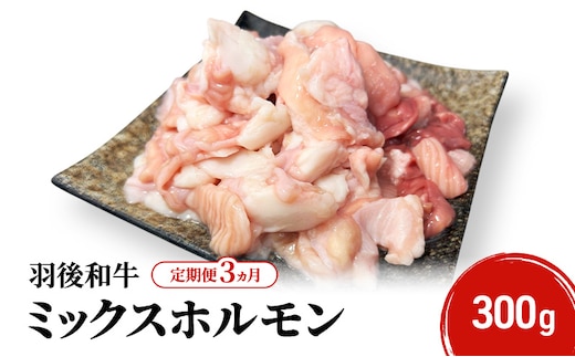 《 定期便 3ヵ月 》 秋田県 羽後町産 羽後和牛 ミックスホルモン 300g 【 焼肉 ホルモン BBQ バーベキュー キャンプ 】