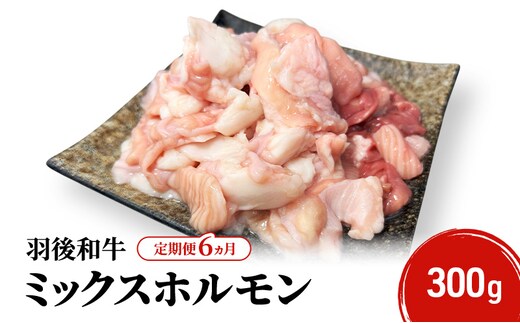 《 定期便 6ヵ月 》 秋田県 羽後町産 羽後和牛 ミックスホルモン 300g 【 焼肉 ホルモン BBQ バーベキュー キャンプ 】