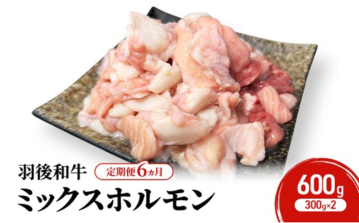 《 定期便 6ヵ月 》 秋田県 羽後町産 羽後和牛 ミックスホルモン 600g （300g×2）【 焼肉 ホルモン BBQ バーベキュー キャンプ 】