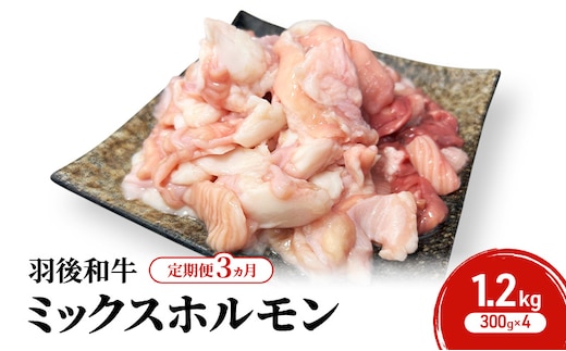《 定期便 3ヵ月 》 秋田県 羽後町産 羽後和牛 ミックスホルモン 1.2kg （300g×4）【 焼肉 ホルモン BBQ バーベキュー キャンプ 】