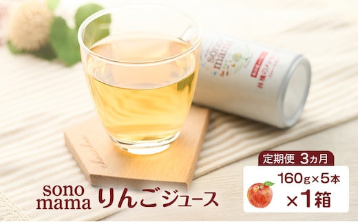 《 定期便 3ヵ月 》 りんごジュース「sonomama」（160g×5本）×1箱 りんご リンゴ ジュース リンゴジュース 飲料
