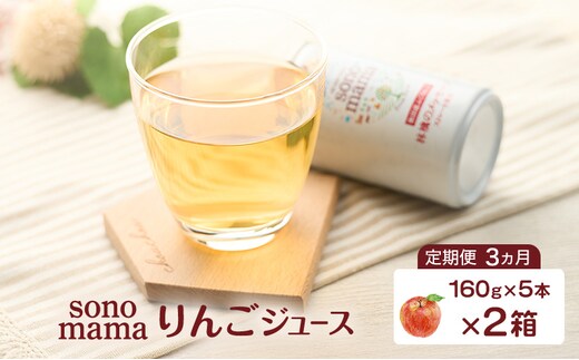 《 定期便 3ヵ月 》 りんごジュース「sonomama」（160g×5本）×2箱 りんご リンゴ ジュース リンゴジュース 飲料