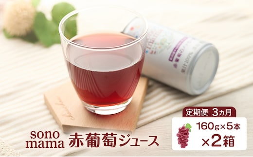 《 定期便 3ヵ月 》 赤葡萄ジュース「sonomama」（160g×5本）×2箱 ぶどう ブドウ ジュース ぶどうジュース 飲料
