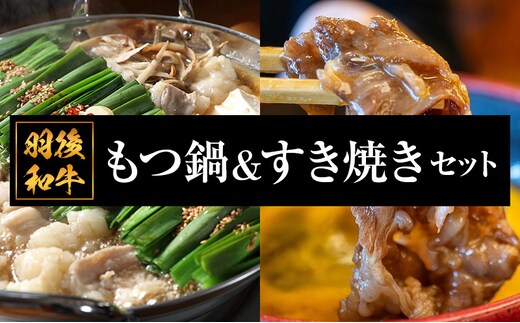 秋田県 羽後町産 羽後和牛 もつ鍋＆すき焼き セット【肉 もつ 和牛 国産 グルメ 新鮮ホルモン 夕飯 集まり イベント 女子会 忘年会 新年会 鍋料理 ちゃんぽん麺】