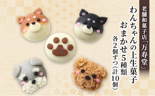 創業明治44年［菓子司 万寿堂］わんちゃんの上生菓子 おまかせ5種類 各2個ずつ（計10個）秋田 羽後 西馬音内 【菓子 和菓子 生菓子 上生菓子 スイーツ かわいい 高級 老舗 お取り寄せ ギフト】